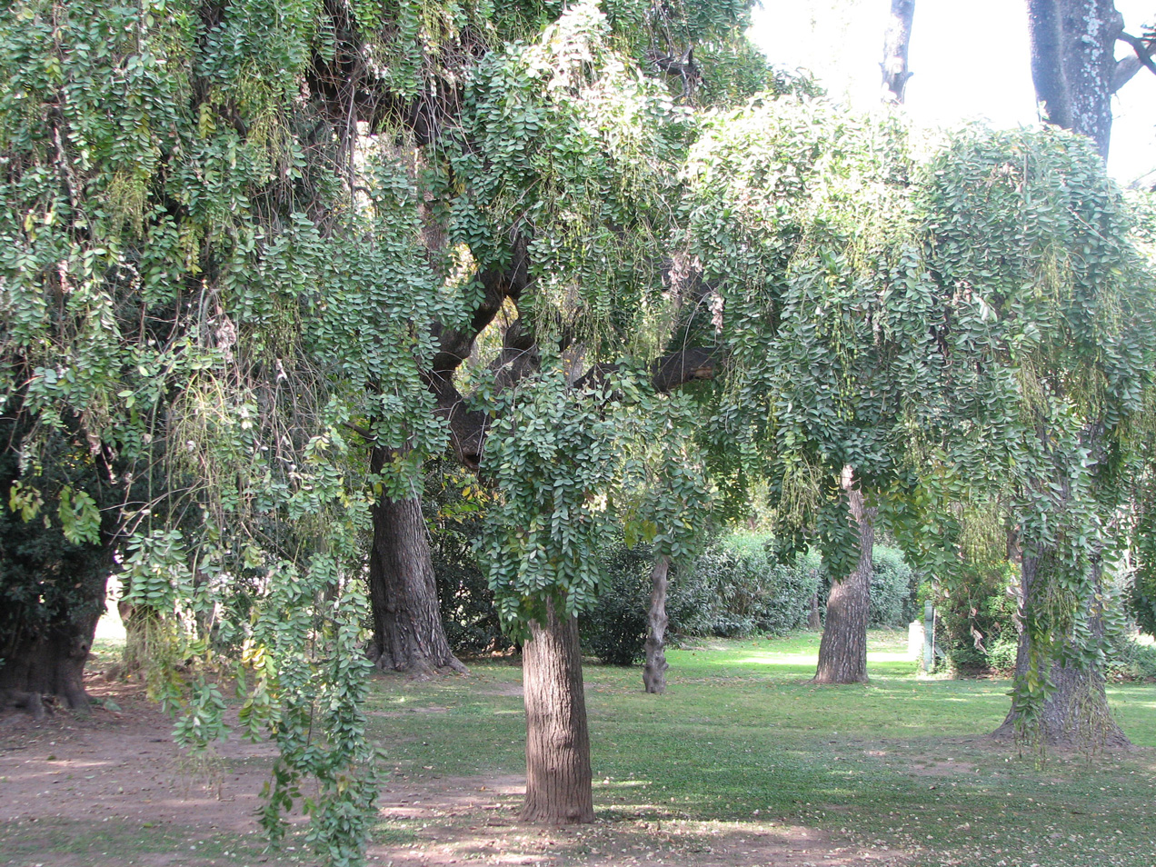 Galería de imágenes